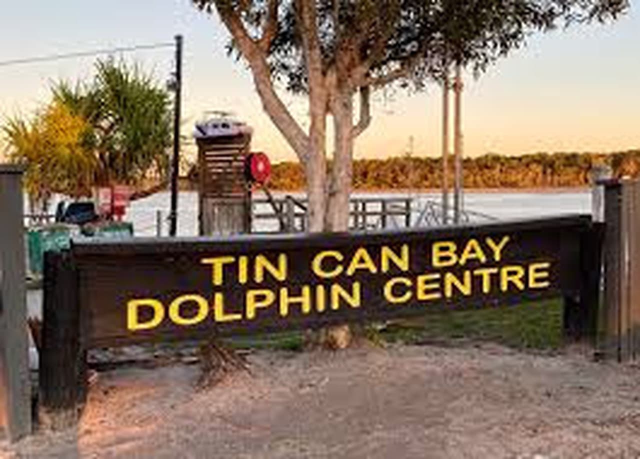 Dolphin Feeding Experience at Tin Can Bay from Rainbow Beach - image 2