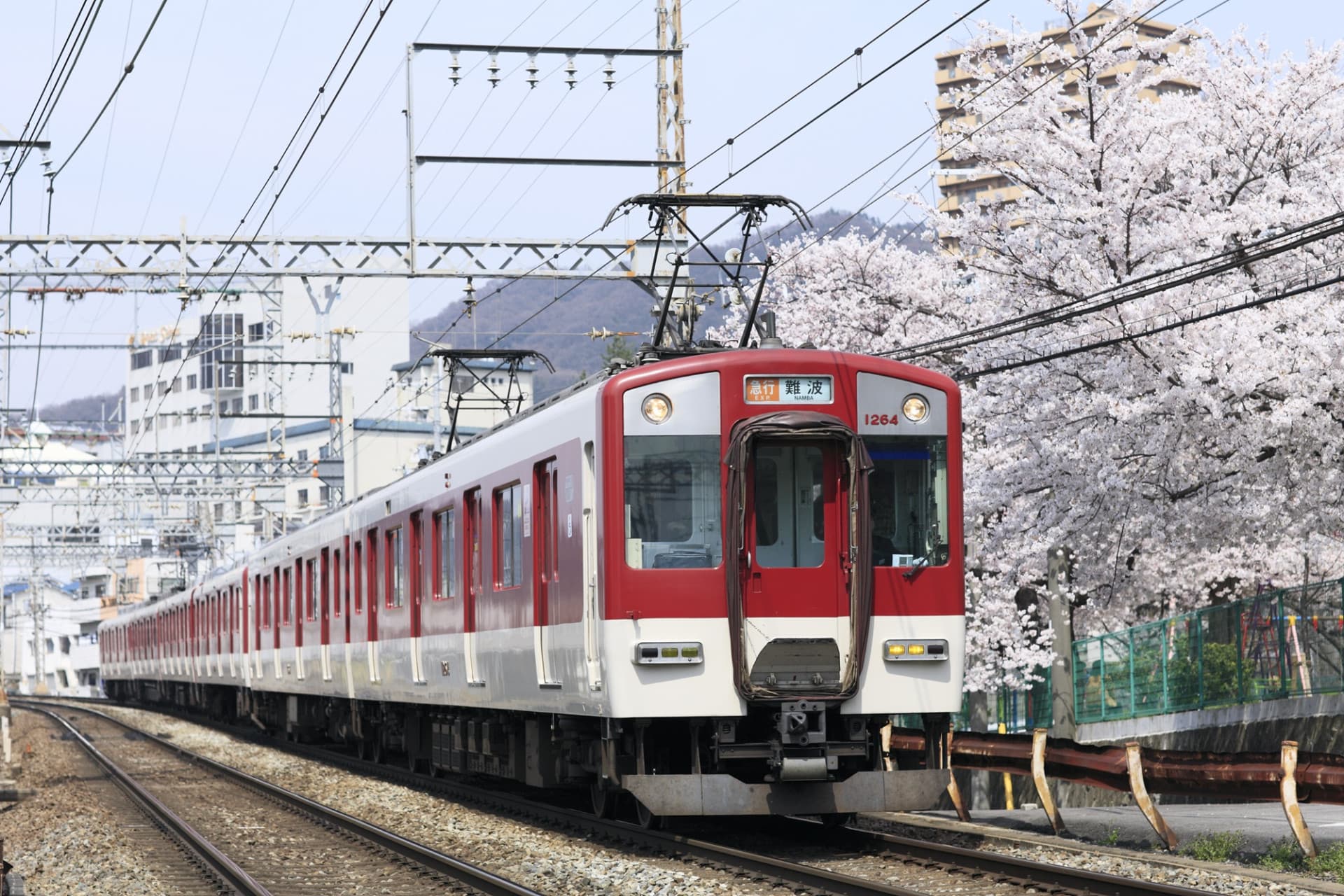 Kansai Railway Pass Lite - image 5